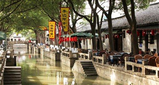 煲一锅鸽子汤来贴秋膘，详情细说鸽子哪些部位吃不得，及处理方法